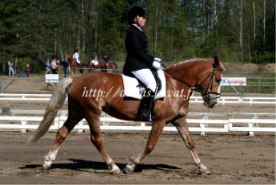 sanni