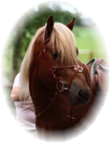 tuisku